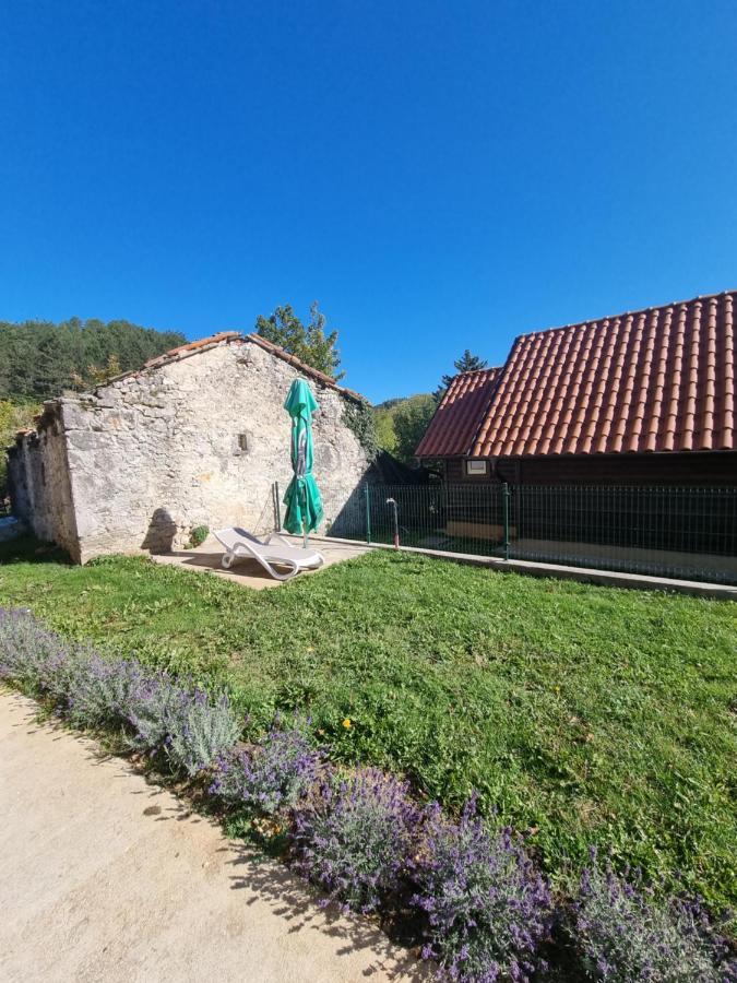 Dobra Hisa Zdravja Cicarija Hotel Golac Bagian luar foto